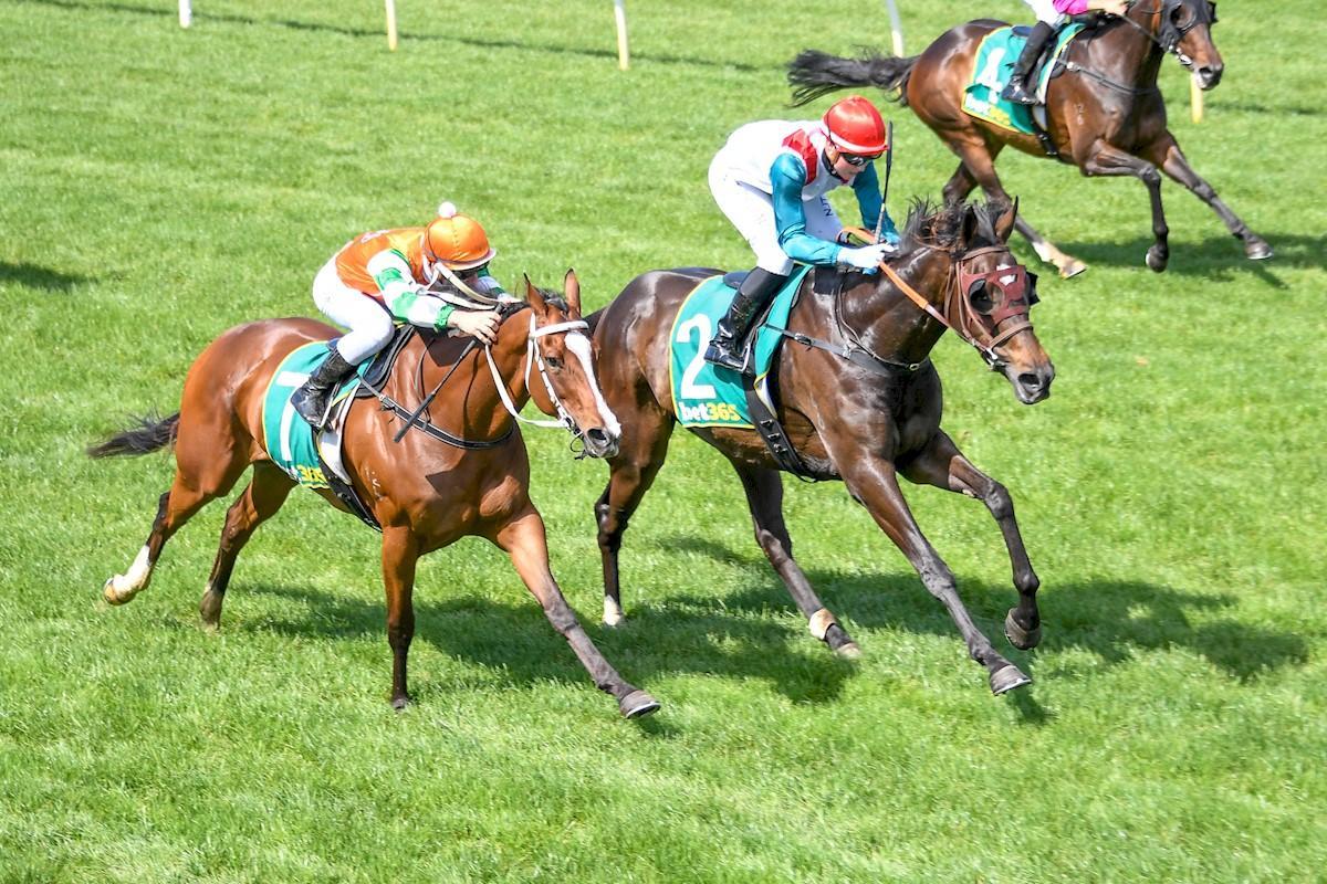 About Us Pateman Racing