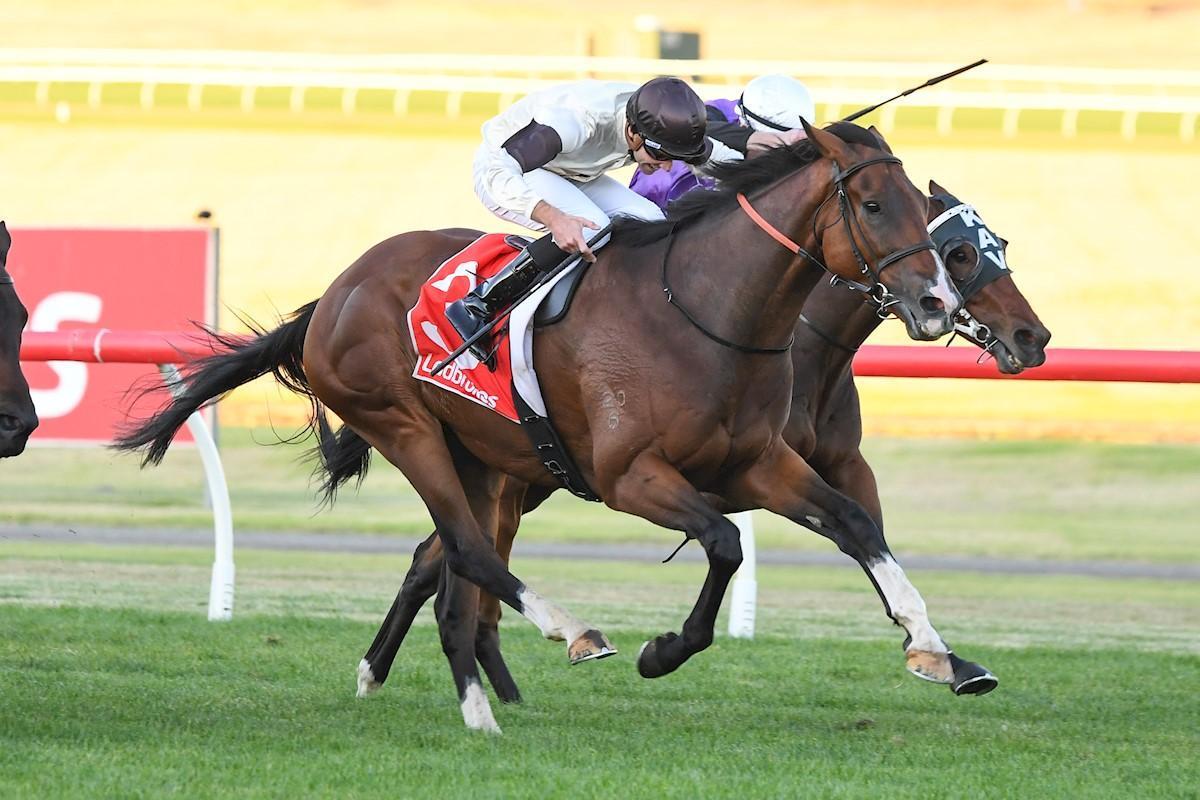 News Cumani Racing