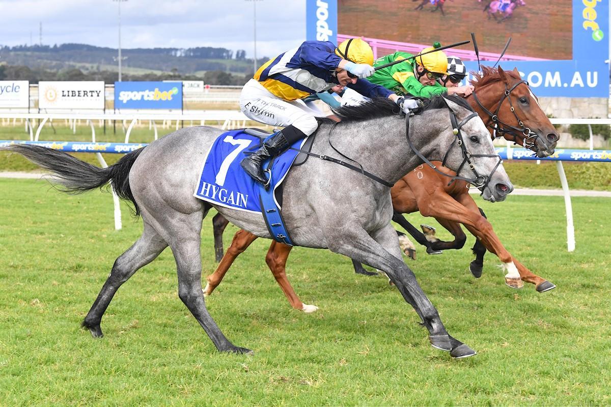 Our Horses First Light Racing Group 1 winning racehorse syndicator