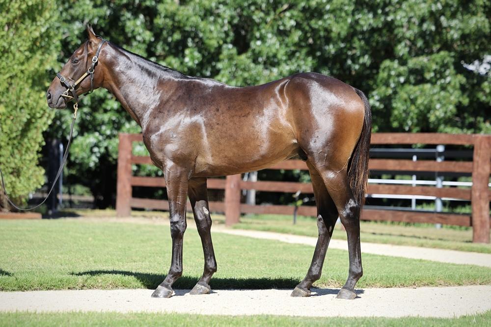 Artorius x Miss Moana