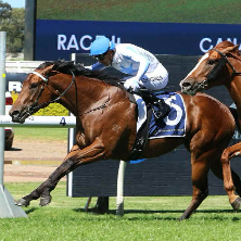 Lady Lieutenant