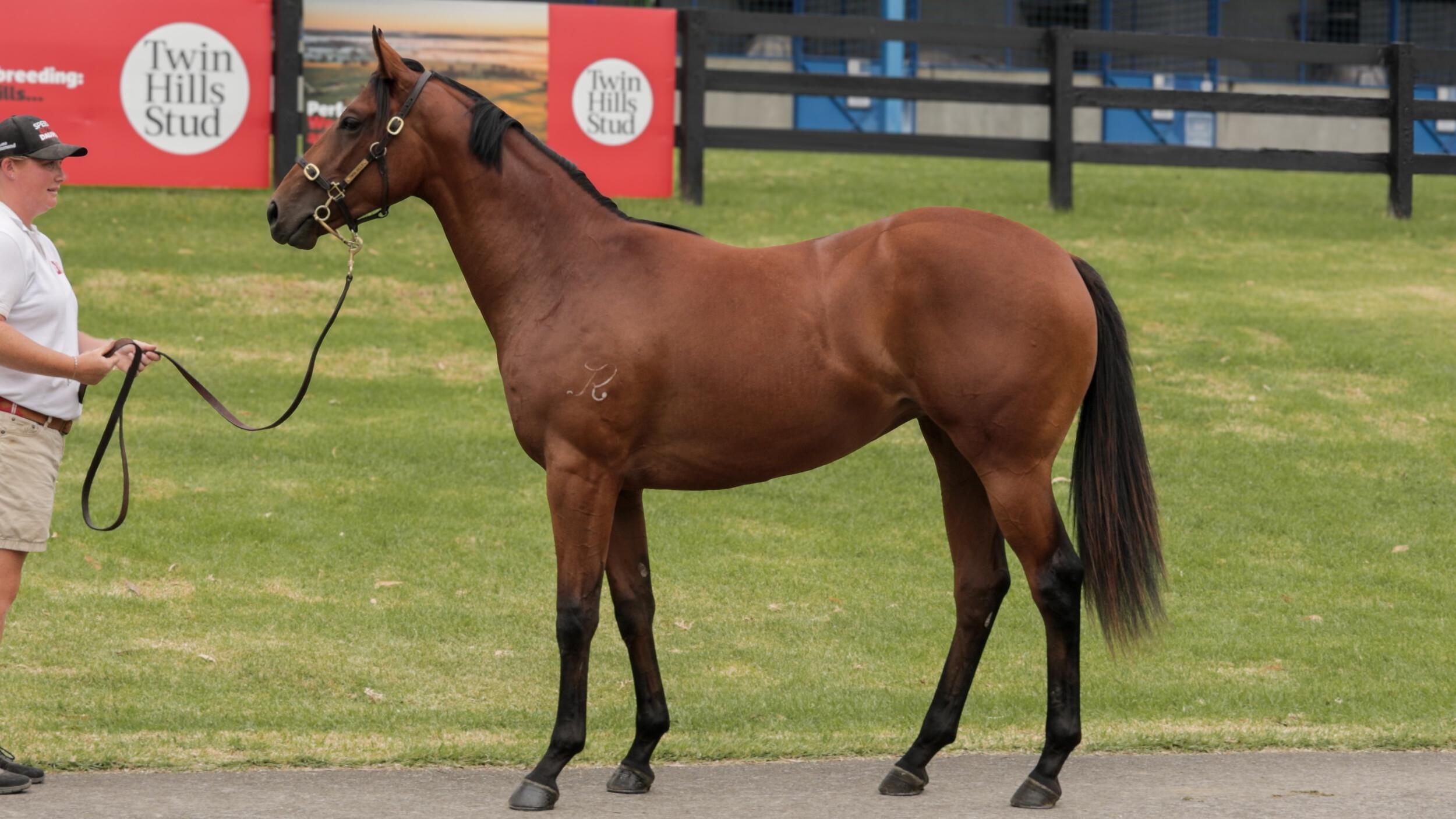 I am Immortal / Tickets to Kiss Filly