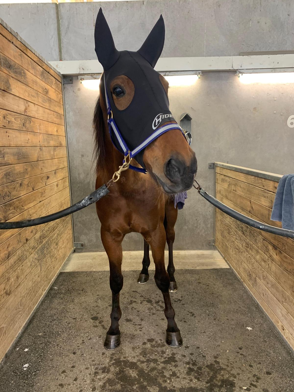 Racing Team Barry Purdon Scott Phelan Racing Stables