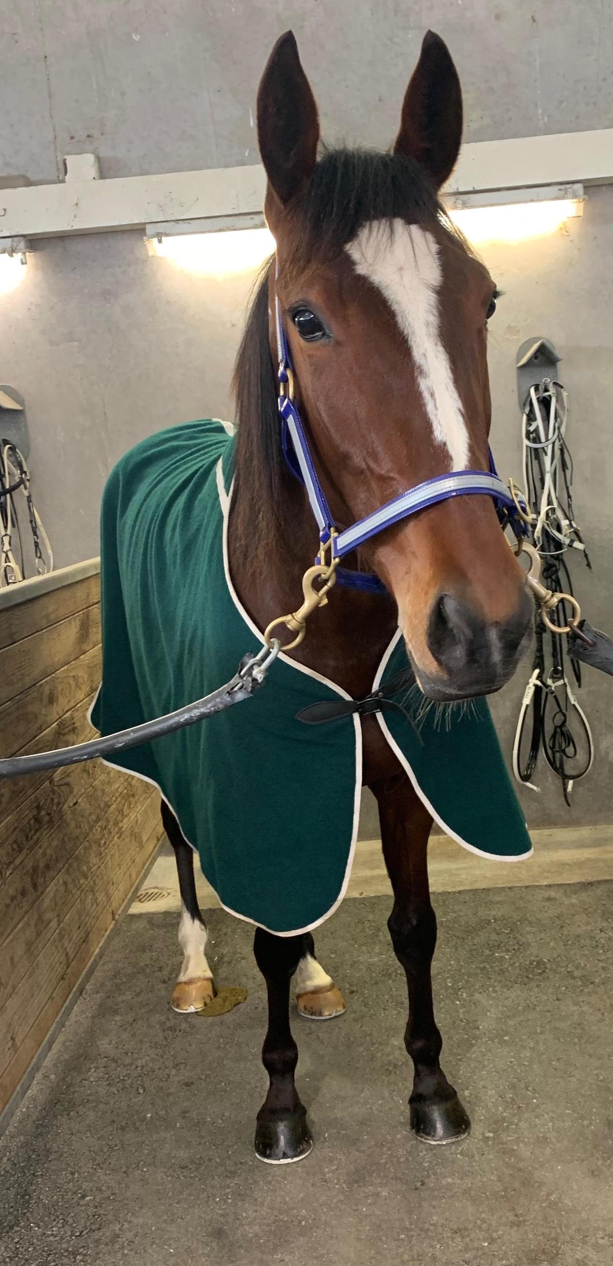 Racing Team Barry Purdon Scott Phelan Racing Stables